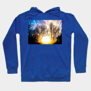 Sun setting behind trees Hoodie